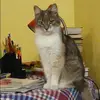Отзыв от Анфиса Злобина